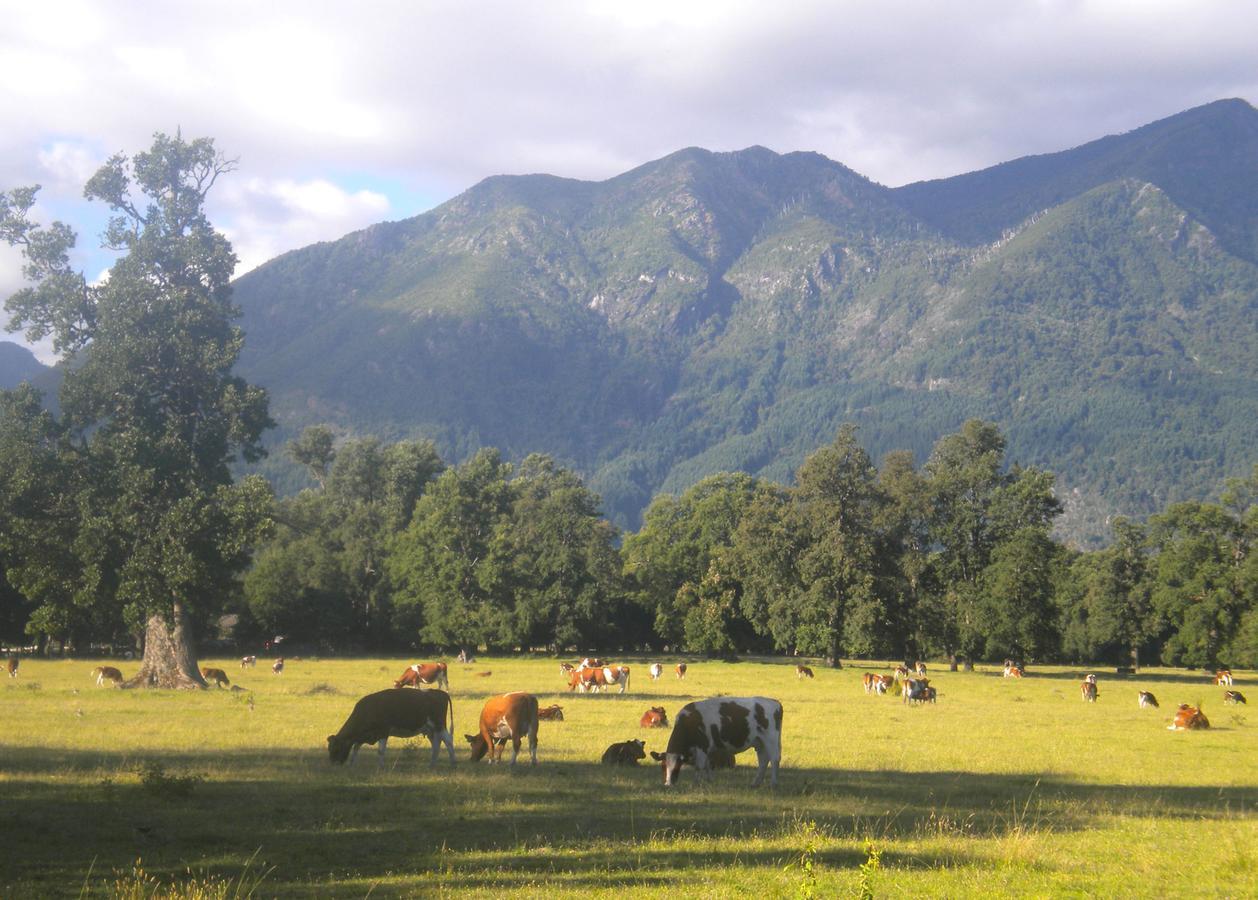 Hostal Tour Pucon Luaran gambar